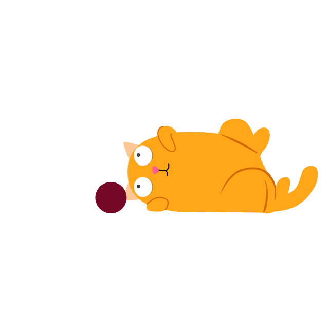 A cat playing